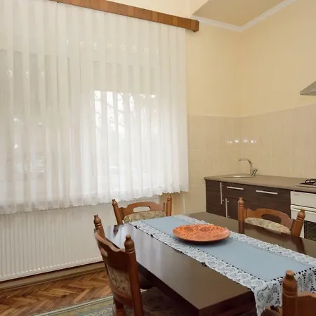 Apartman Vila Milica Kikinda Exterior photo